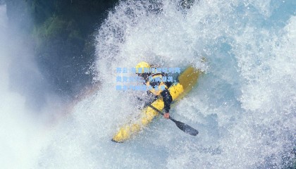 开云-布里斯班狮吼对阵奥克兰FC，伤病潮袭，四主力缺席大名单