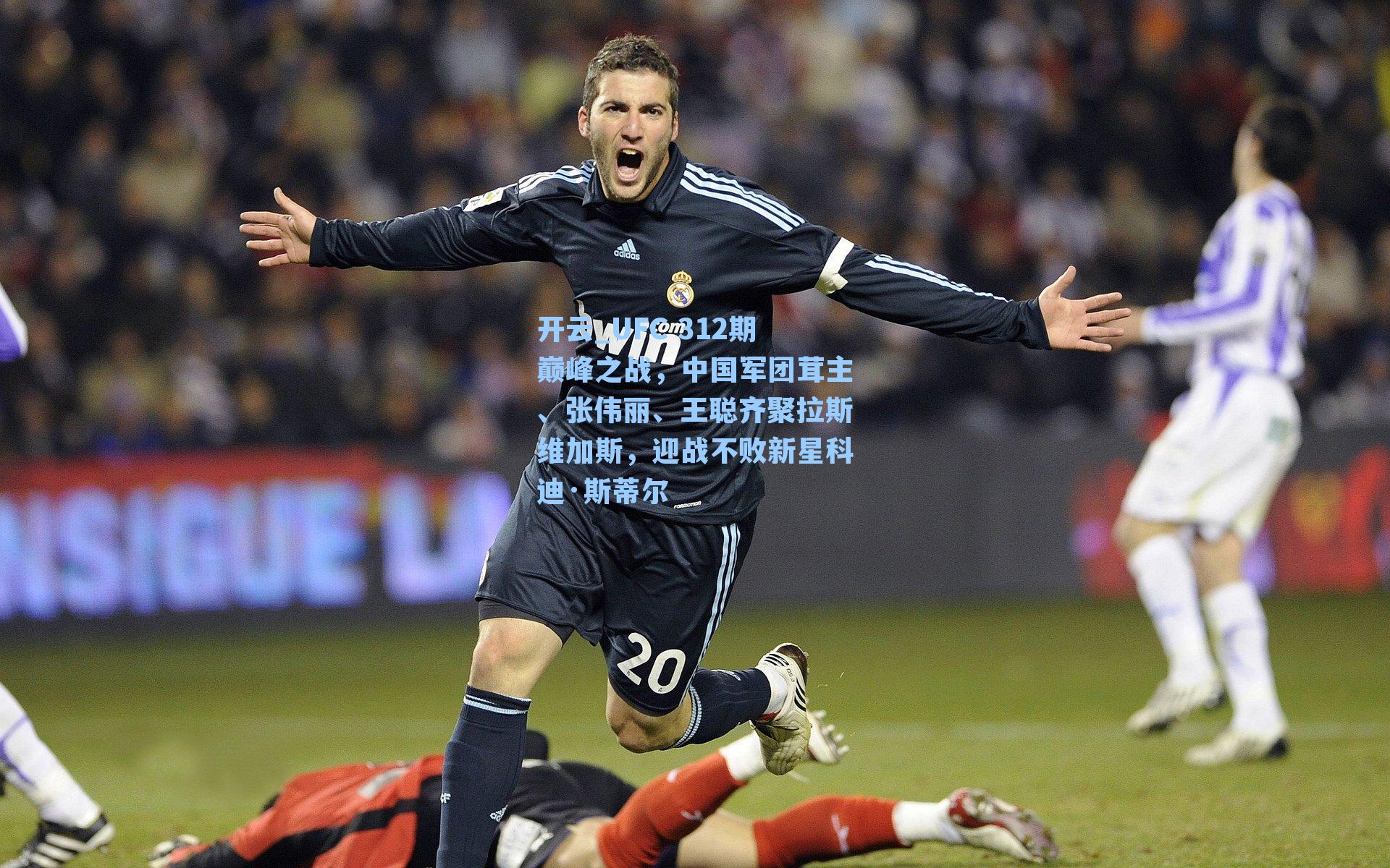 UFC 312期巅峰之战，中国军团茸主、张伟丽、王聪齐聚拉斯维加斯，迎战不败新星科迪·斯蒂尔